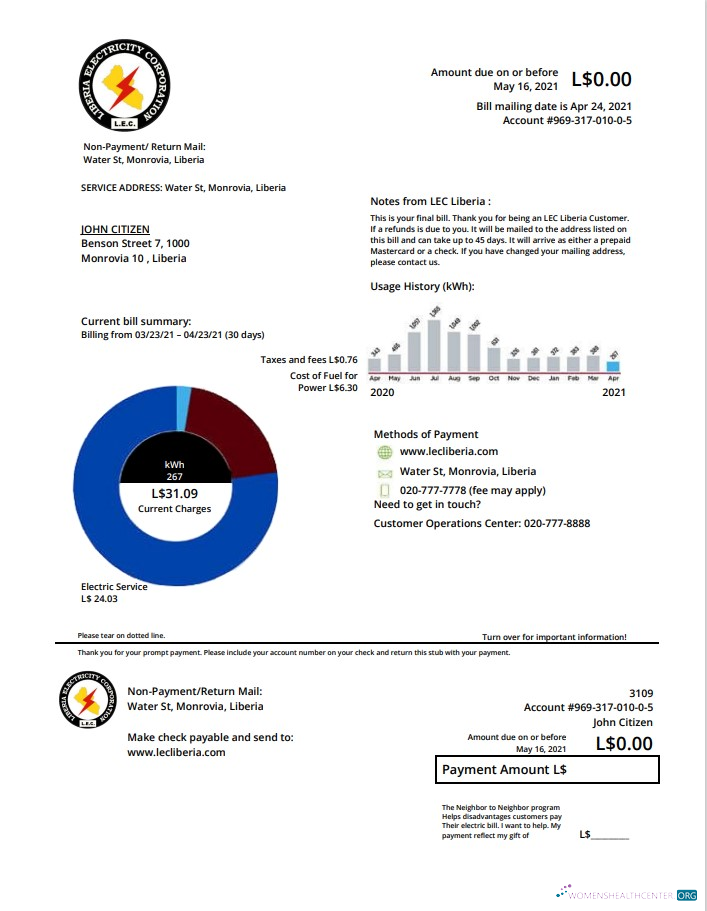 download Liberia Electricity Corporation utility bill template in Word and PDF format PDF template